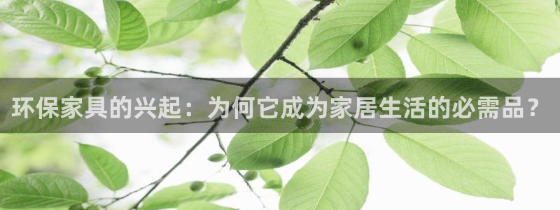杏耀总代