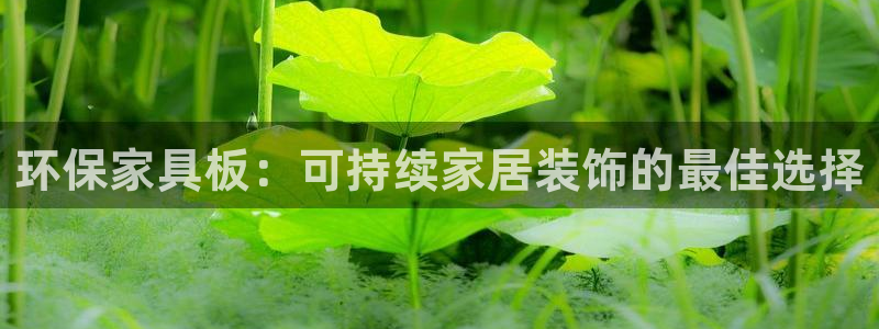杏耀平台在哪里
