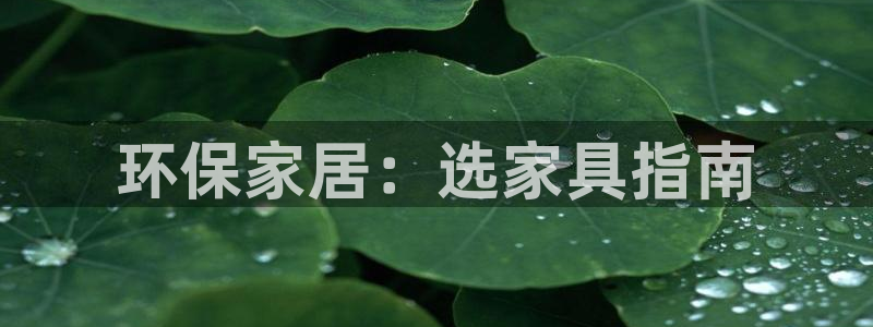 杏耀客户端登陆