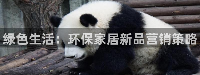 杏耀平台注册代理：绿色生活：环保家居新品营销策略