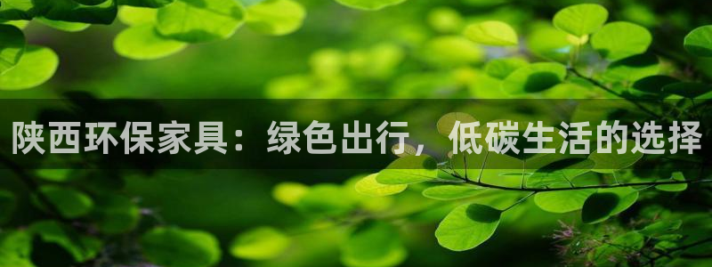 杏耀线路测速登录中心：陕西环保家具：绿色出行，低碳生活的选择