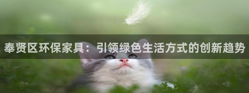 杏耀平台注册网址：奉贤区环保家具：引领绿色生活方式的创新趋势