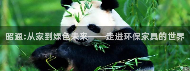 杏耀平台线路测速：昭通:从家到绿色未来——走进环保家具的世界