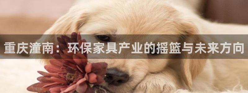 杏耀平台招商的流程