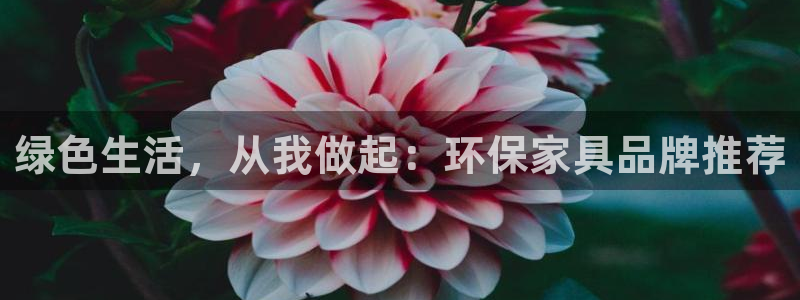 杏耀平台官方网站下载：绿色生活，从我做起：环保家具品牌推荐