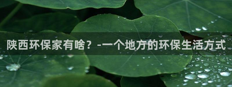 杏耀平台测