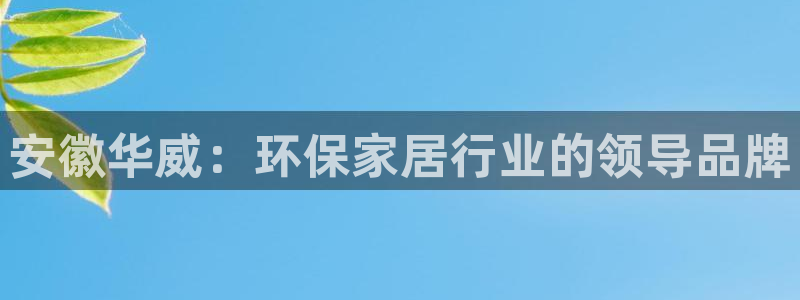 杏耀软件