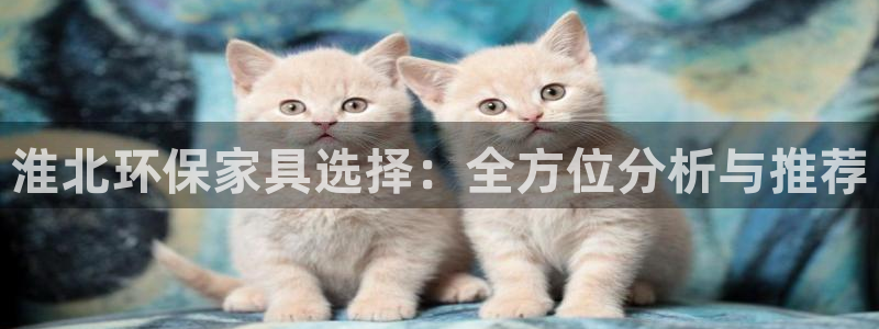杏耀官网注册地址：淮北环保家具选择：全方位分析与推荐