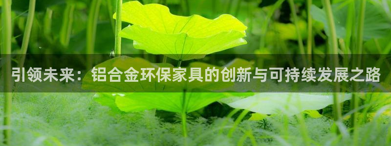杏耀平台怎样：引领未来：铝合金环保家具的创新与可持续发展之路