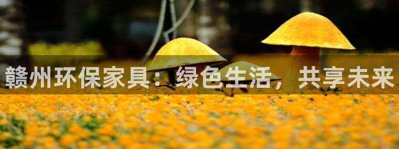 杏耀平台登录：赣州环保家具：绿色生活，共享未来