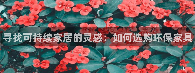 杏耀平台注册网址：寻找可持续家居的灵感：如何选购环保家具