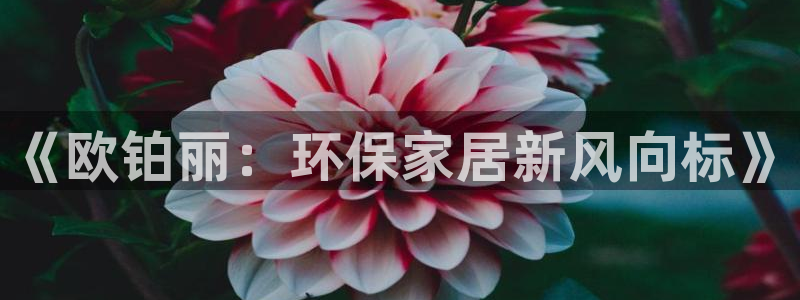 杏耀平台注册地址：《欧铂丽：环保家居新风向标》