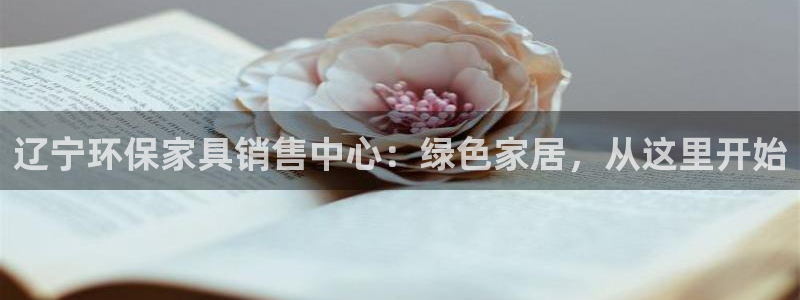 杏耀代理注册中心：辽宁环保家具销售中心：绿色家居，从这里开始
