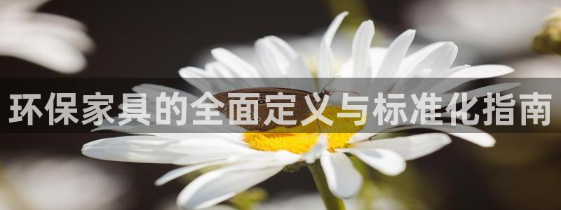 杏耀官方：环保家具的全面定义与标准化指南