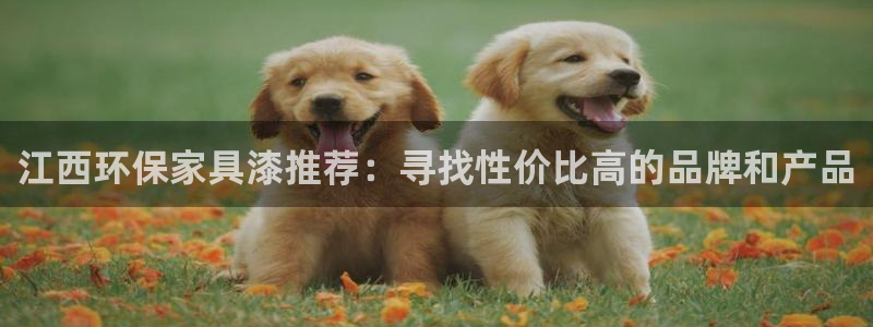 杏耀注册平台官网：江西环保家具漆推荐：寻找性价比高的品牌和产